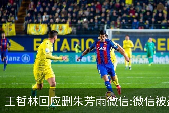 王哲林回应删朱芳雨微信:微信被盗号删了几百个好友 连我妈都被删了